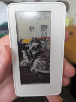 Picture of cats on an e-ink display.