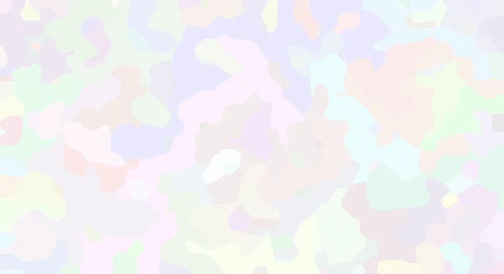 Layer 1